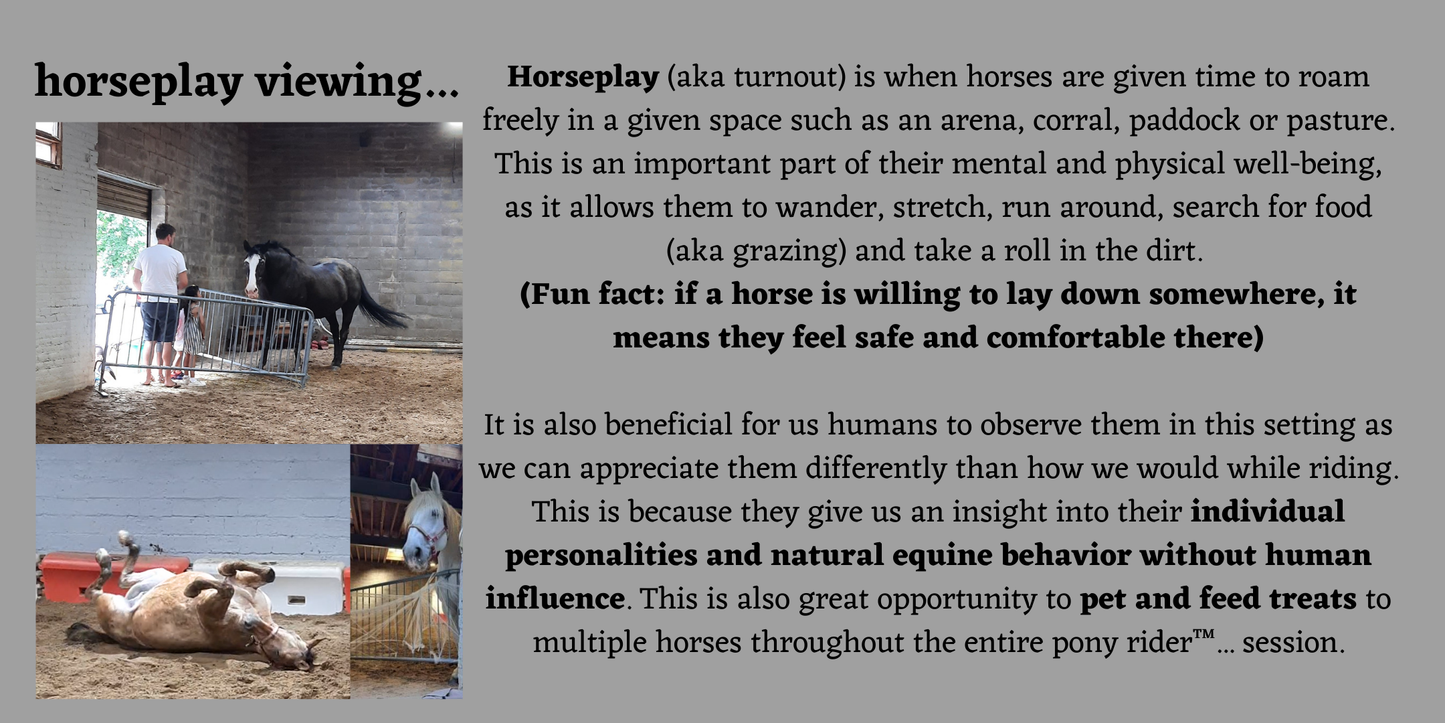 Be pony rider...