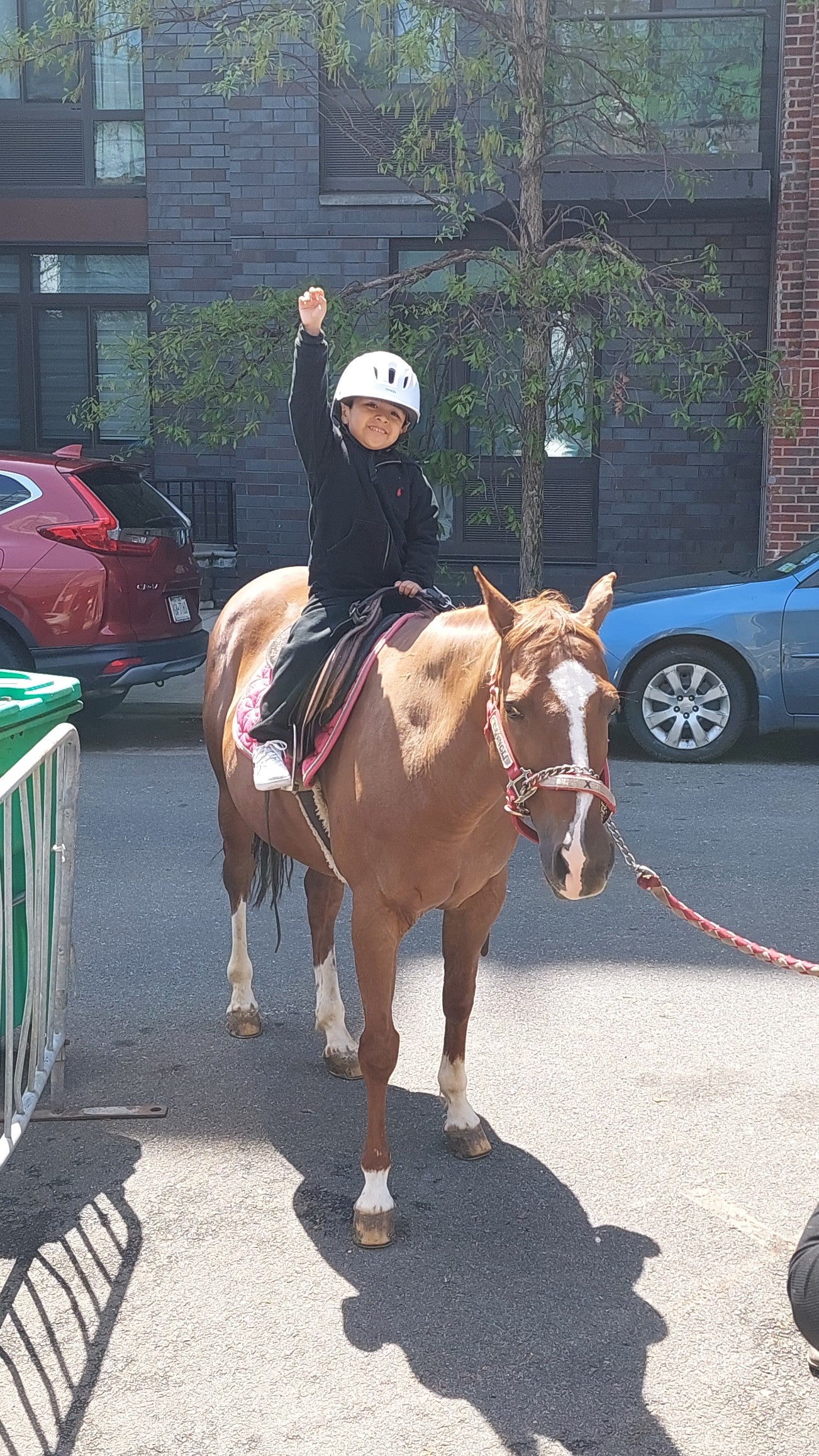 Be pony rider... 2026