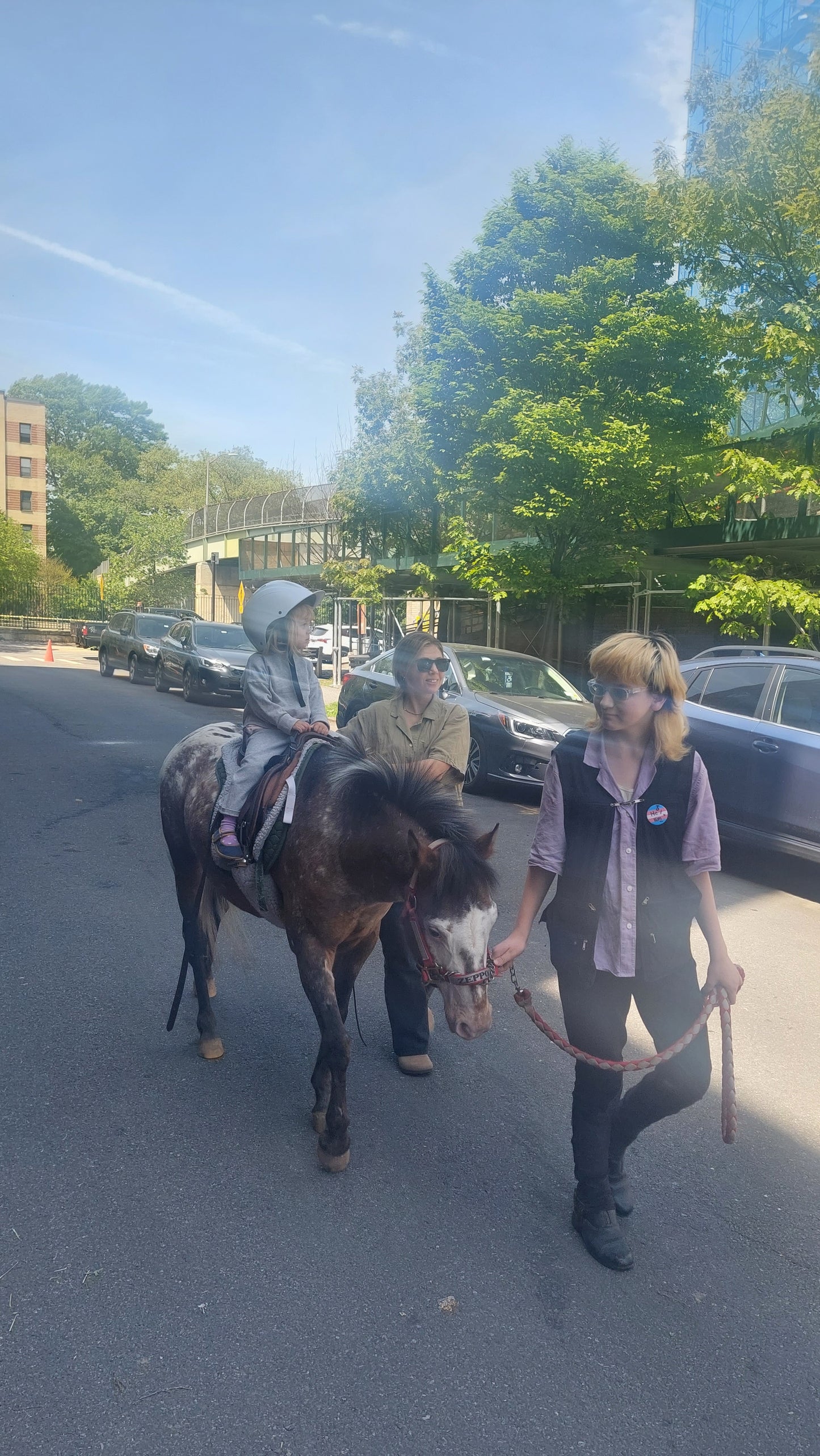 Be pony rider... 2026