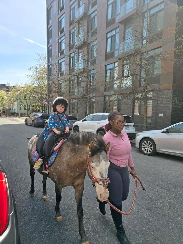 Be pony rider... 2026