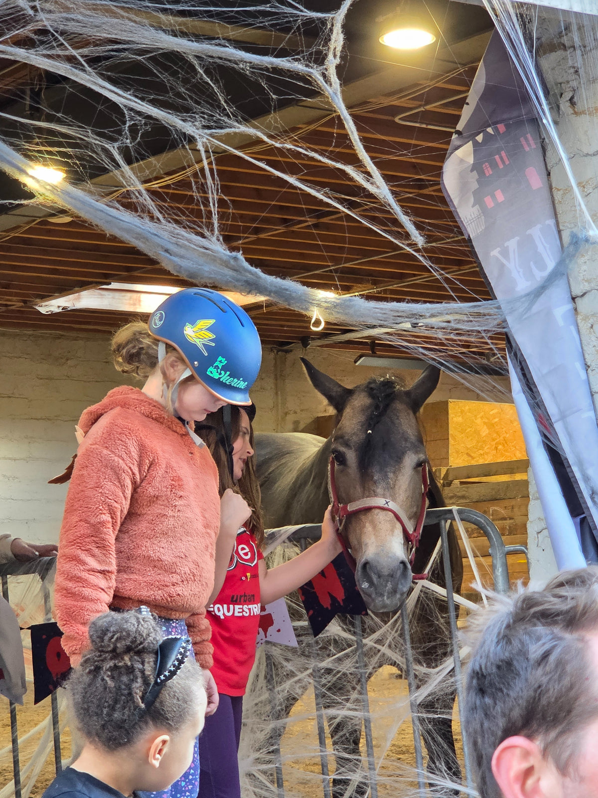 Haunted pony rider... 2026