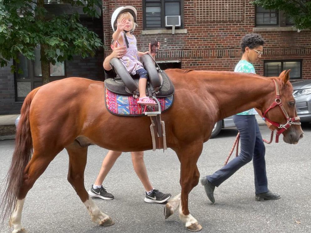 Be pony rider...