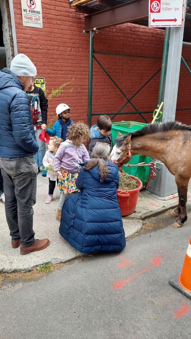 Be pony rider... 2026