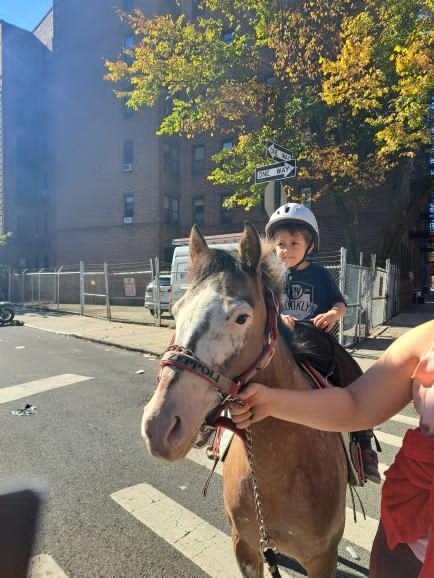 Be pony rider... 2026
