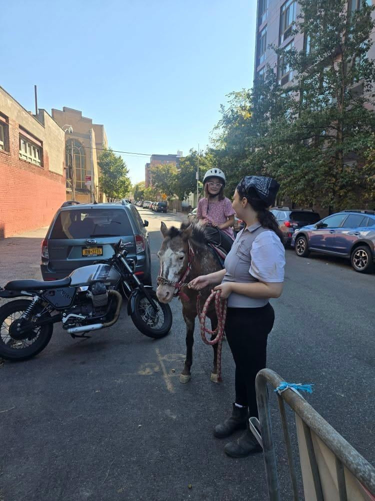 Be pony rider... 2026