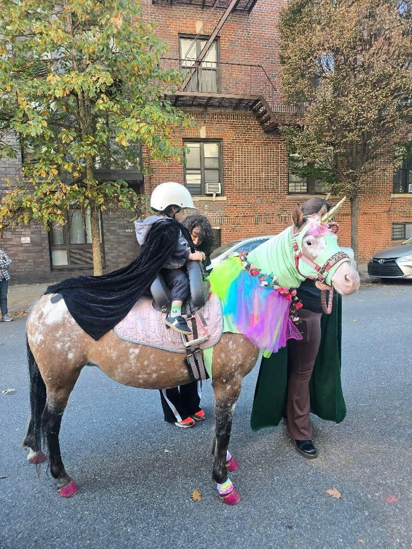Haunted pony rider... 2026