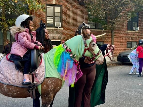 Haunted pony rider... 2026