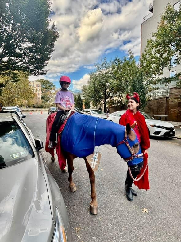 Haunted pony rider... 2026