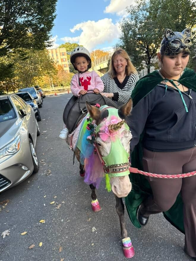 Haunted pony rider... 2026